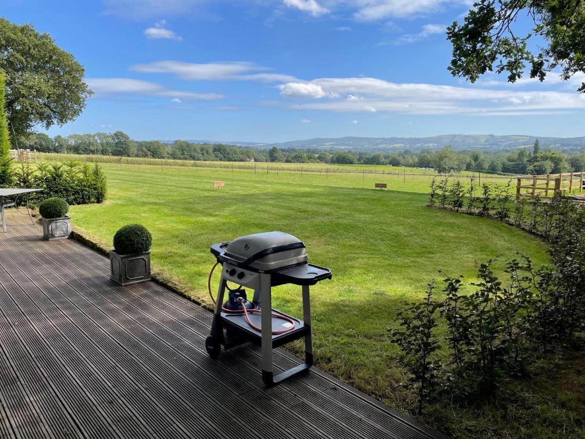 Stunning Cabin With Incredible Views Near Goodwood Rogate Dış mekan fotoğraf