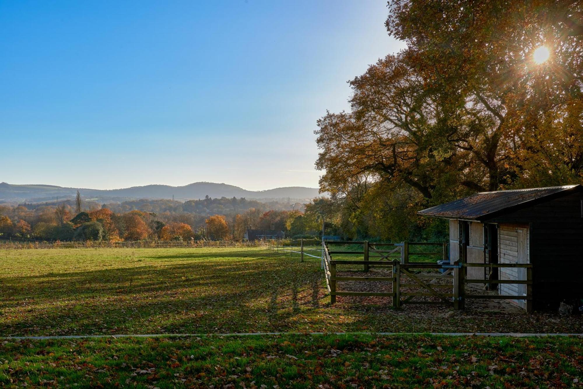 Stunning Cabin With Incredible Views Near Goodwood Rogate Dış mekan fotoğraf