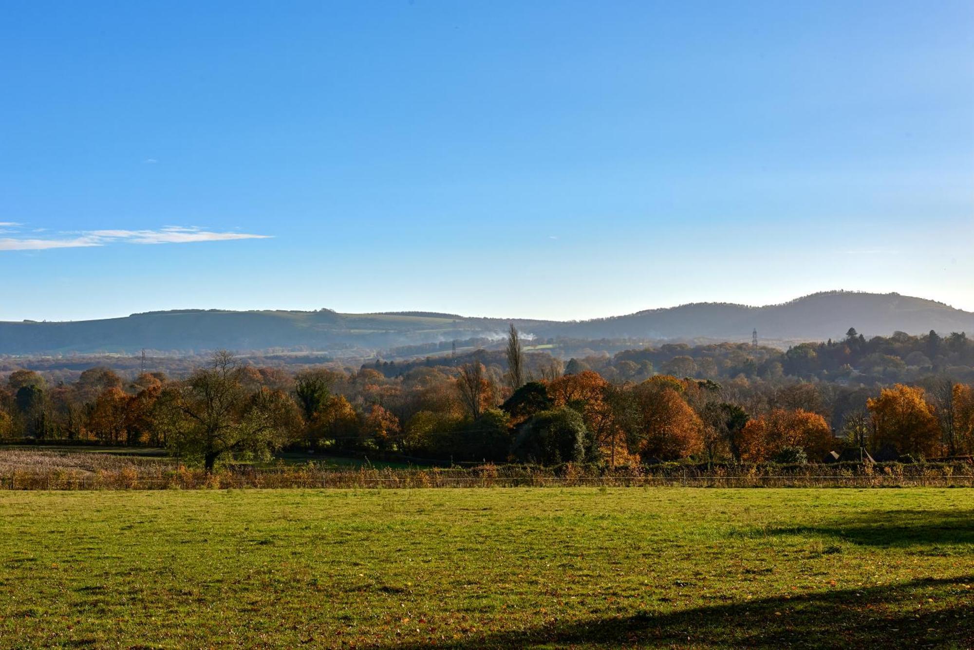 Stunning Cabin With Incredible Views Near Goodwood Rogate Dış mekan fotoğraf