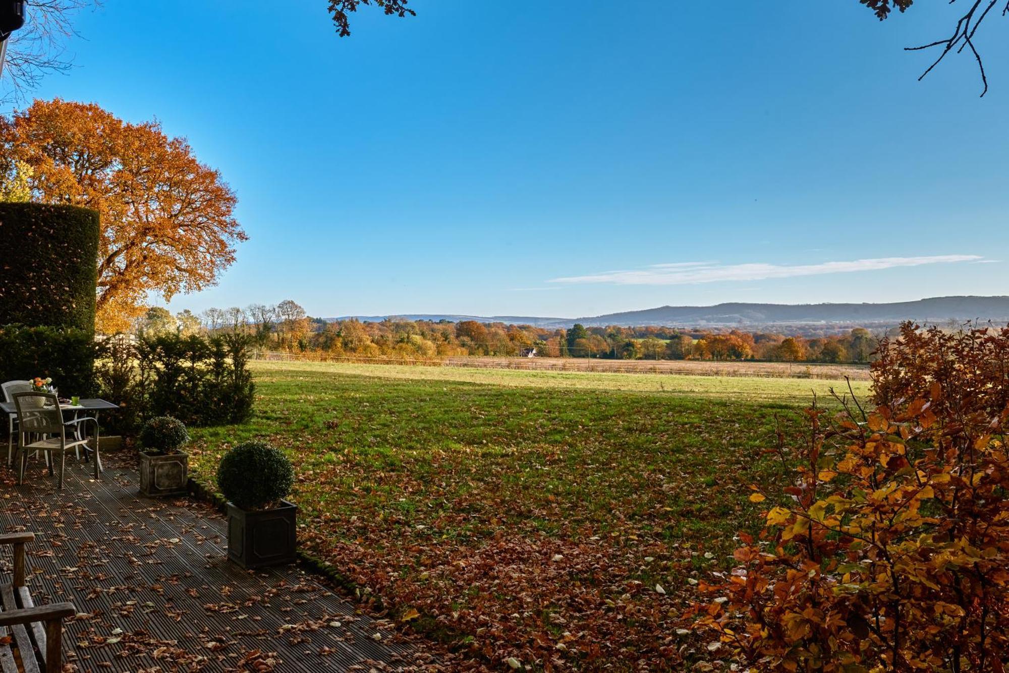 Stunning Cabin With Incredible Views Near Goodwood Rogate Dış mekan fotoğraf