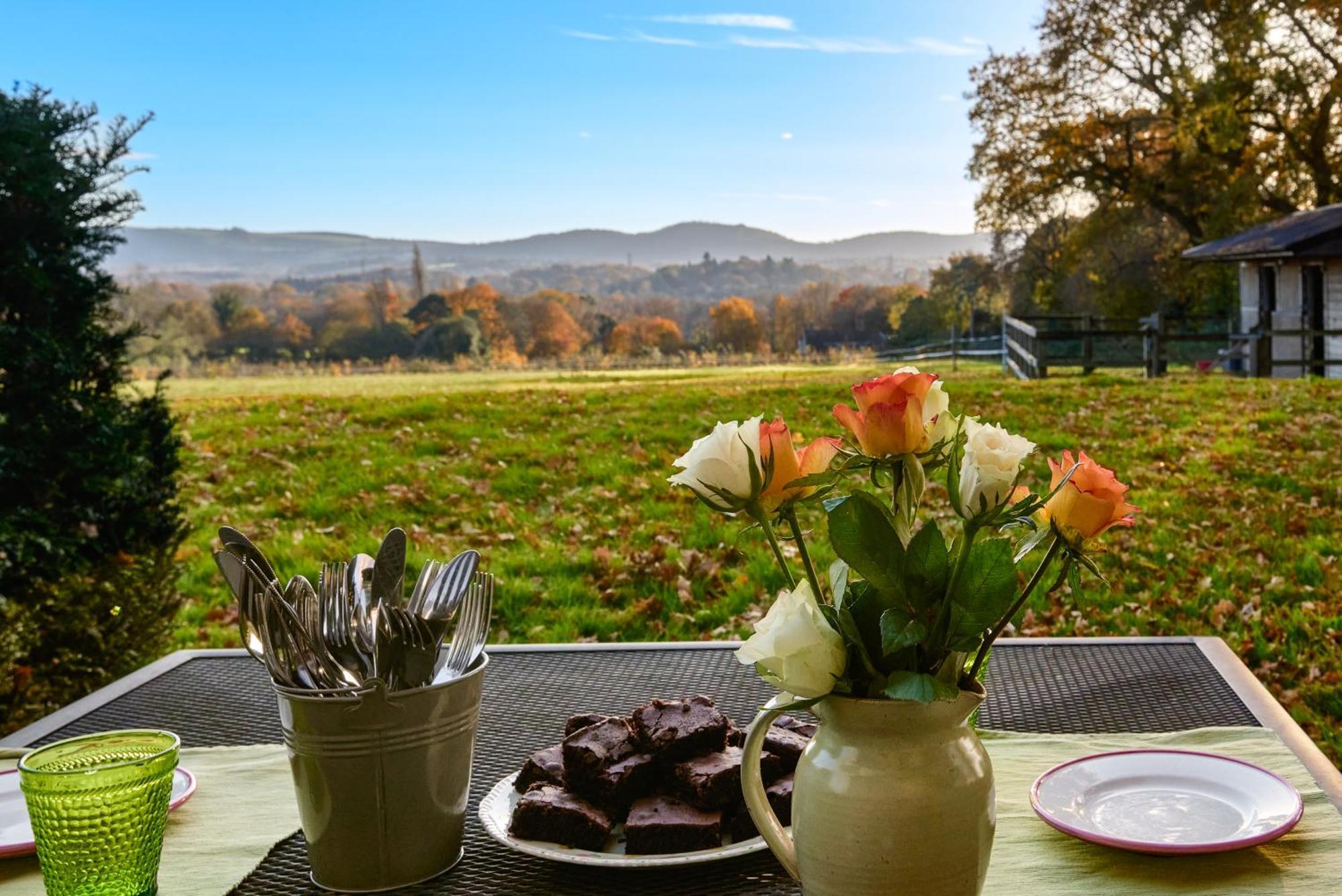 Stunning Cabin With Incredible Views Near Goodwood Rogate Dış mekan fotoğraf